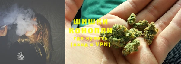 PSILOCYBIN Зеленокумск