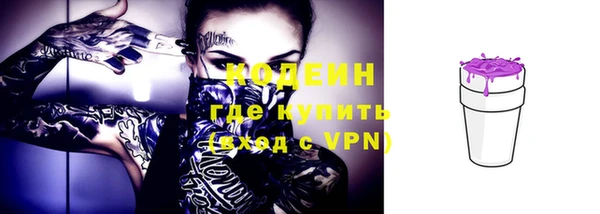 амф Галич