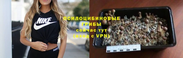 мяу мяу мука Новокубанск
