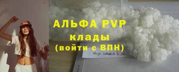 альфа пвп Новодвинск