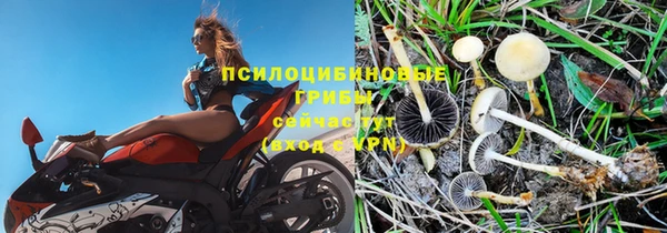 спиды Нязепетровск