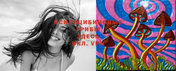кристаллы Нягань