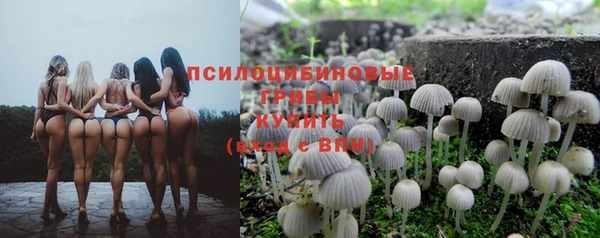MDMA Няндома