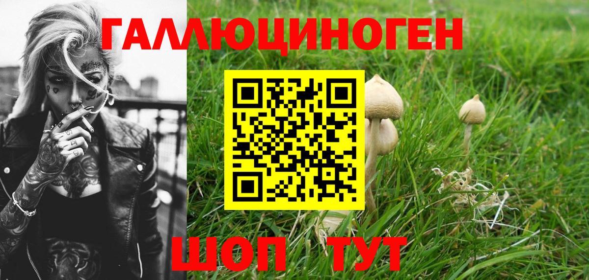 Галлюциногенные грибы Psilocybe  Вход с VPN  Галлюциногенные грибы Cubensis  Конаково 