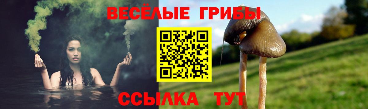 Псилоцибиновые грибы прущие грибы  Конаково 